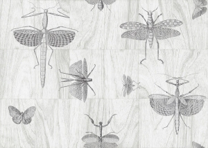 Tapeta dekoracyjna Arte Wings 42001