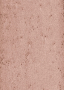 Tapeta dekoracyjna Arte Stellar 37503