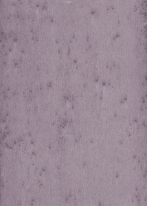 Tapeta dekoracyjna Arte Stellar 37504