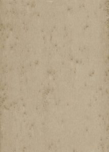 Tapeta dekoracyjna Arte Stellar 37509