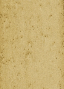 Tapeta dekoracyjna Arte Stellar 37516