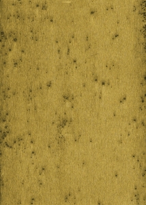 Tapeta dekoracyjna Arte Stellar 37517