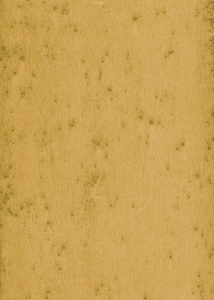 Tapeta dekoracyjna Arte Stellar 37519