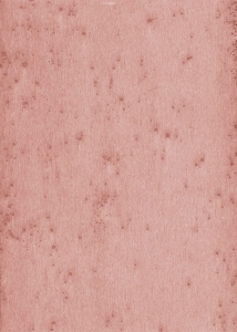 Tapeta dekoracyjna Arte Stellar 37520