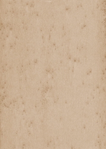 Tapeta dekoracyjna Arte Stellar 37521