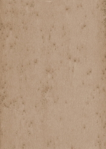 Tapeta dekoracyjna Arte Stellar 37522
