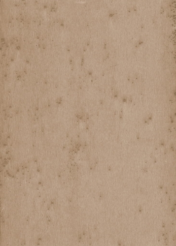 Arte Stellar 37522