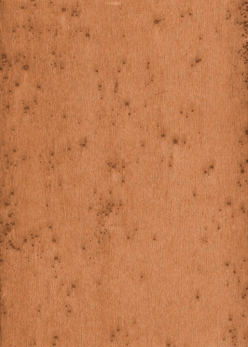 Arte Stellar 37523