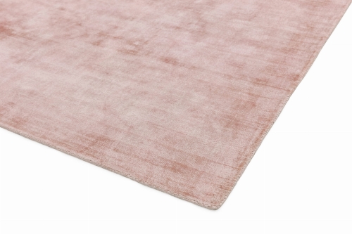 Asiatic Blade Pink