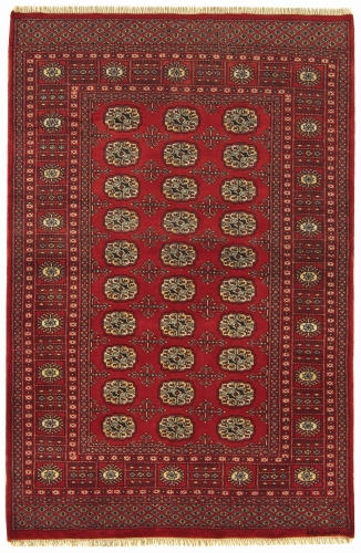Asiatic Bokhara Red