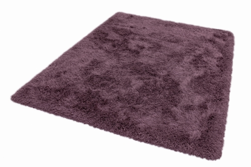 Asiatic Cascade Violet