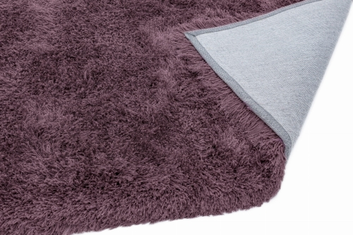 Asiatic Cascade Violet