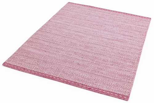 Asiatic Knox Pink