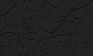Tapeta  Arte Moooi Calligraphy Bird Midnight  MO2011