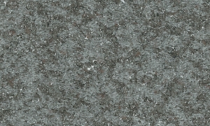 Tapeta Arte Moooi Bearded Leopard Fossil Grey MO2051