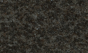 Tapeta Arte Moooi Bearded Leopard Blackened Blue MO2052