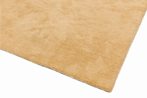 Asiatic Milo Yellow