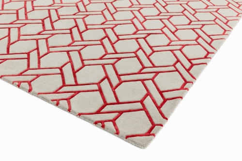 Asiatic Nexus FL03 Silver/Red