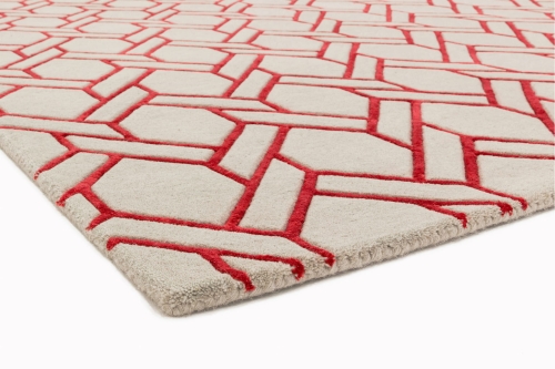 Asiatic Nexus FL03 Silver/Red