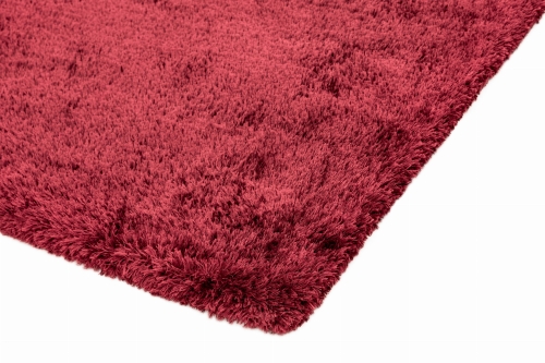 Asiatic Nimbus Ruby