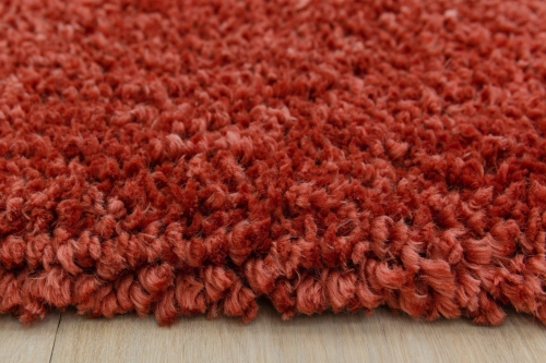Asiatic Spiral Coral