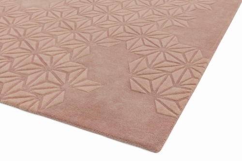 Asiatic Starburst Pink