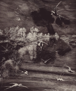 Tapeta Eijffinger Geonature 366100 (mural)