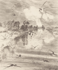 Tapeta Eijffinger Geonature 366101 (mural)