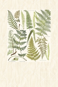 Tapeta Eijffinger Geonature 366102 (mural)