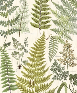 Tapeta Eijffinger Geonature 366104 (mural)