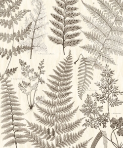 Tapeta Eijffinger Geonature 366105 (mural)