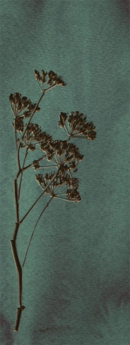 Eijffinger Lino 379104 (mural)
