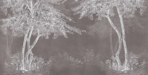 Mural Inkiostro Bianco Selva INKDVWU1903