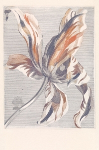 Tapeta Eijffinger Masterpiece 358116 (mural)