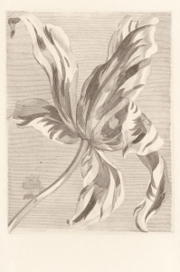 Tapeta Eijffinger Masterpiece 358117 (mural)