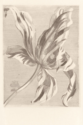 Eijffinger Masterpiece 358117 (mural)