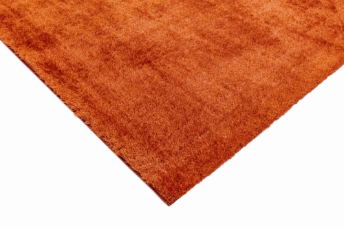 Asiatic Payton Orange