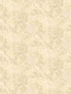 Tapeta dekoracyjna Eijffinger Resource 369159 (mural)