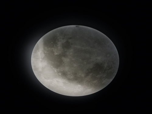 ce2634086646d311ccb661cbc7026048