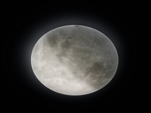 d0194cdc0bd0aa9e8c9de8f3dc8a19ab