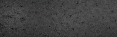 SL LOTUS CLASSY BLACK.jpg