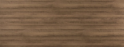 NL WL Sessile OAK Nature _GP.jpg