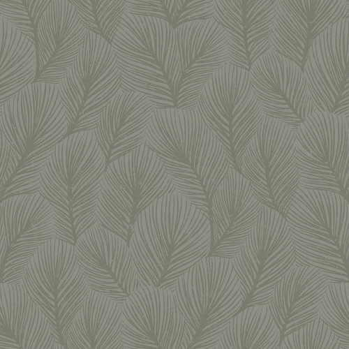 Pine_Tree_Image_Flatshot_Item_4704.jpg