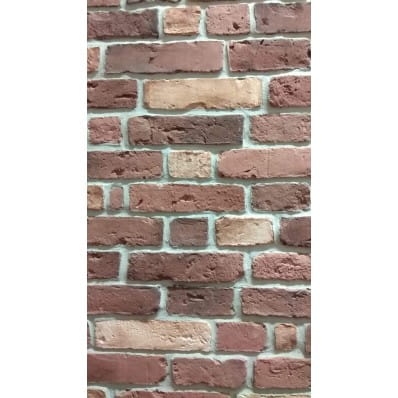 Cegła tarasowa/podłogowa Elkamino Dom Stara Cegła Tarasowa Klasztorny