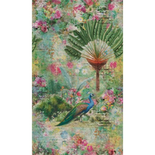 47259.jpg