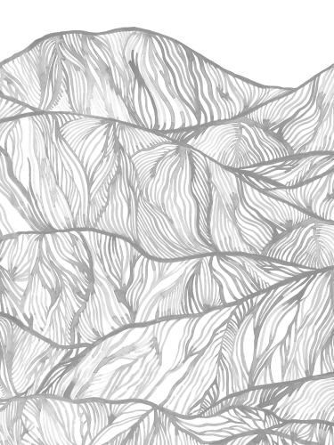 Mural Borastapeter Mountain 9464W wzór mały.jpeg