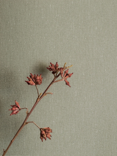 Boras Tapeter Linen Soft Olive 4335 kwiat.jpg