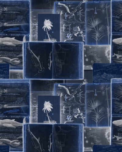 Tapeta MINDTHEGAP Sundance Villa Seaman's Journal indigo WP20561