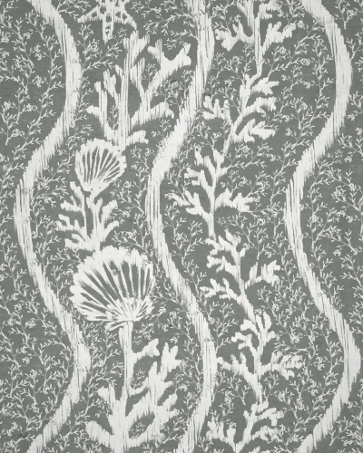 koralion_seagrass_2000x2500_wp30045.jpg