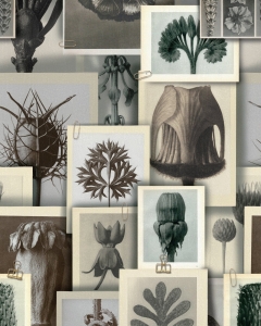 Tapeta MINDTHEGAP THE ARTIST'S HOUSE BLOSSFELDT'S ART FORMS WP20595